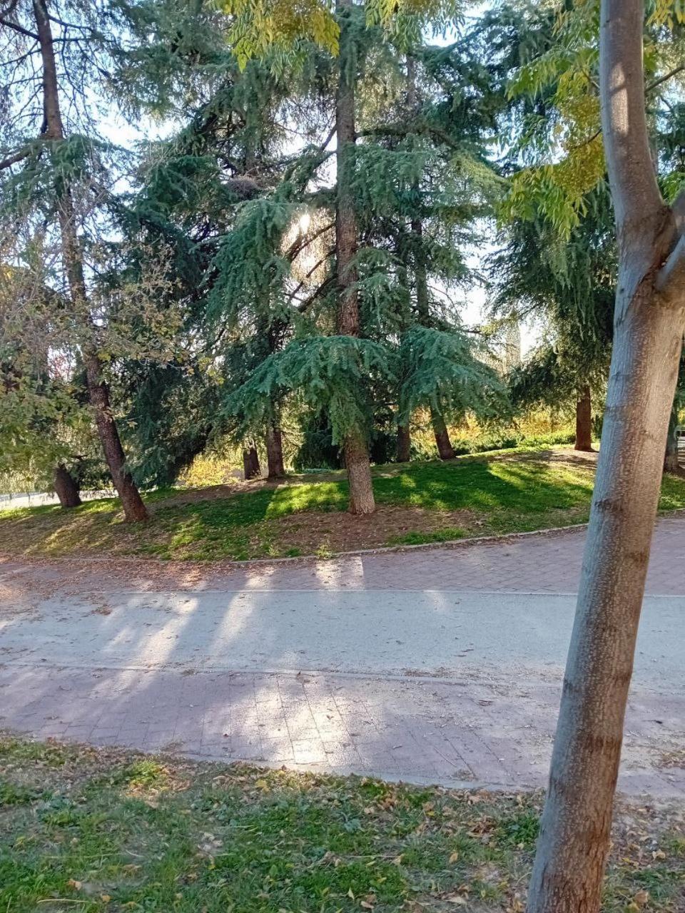 מדריד Smart Suite מראה חיצוני תמונה