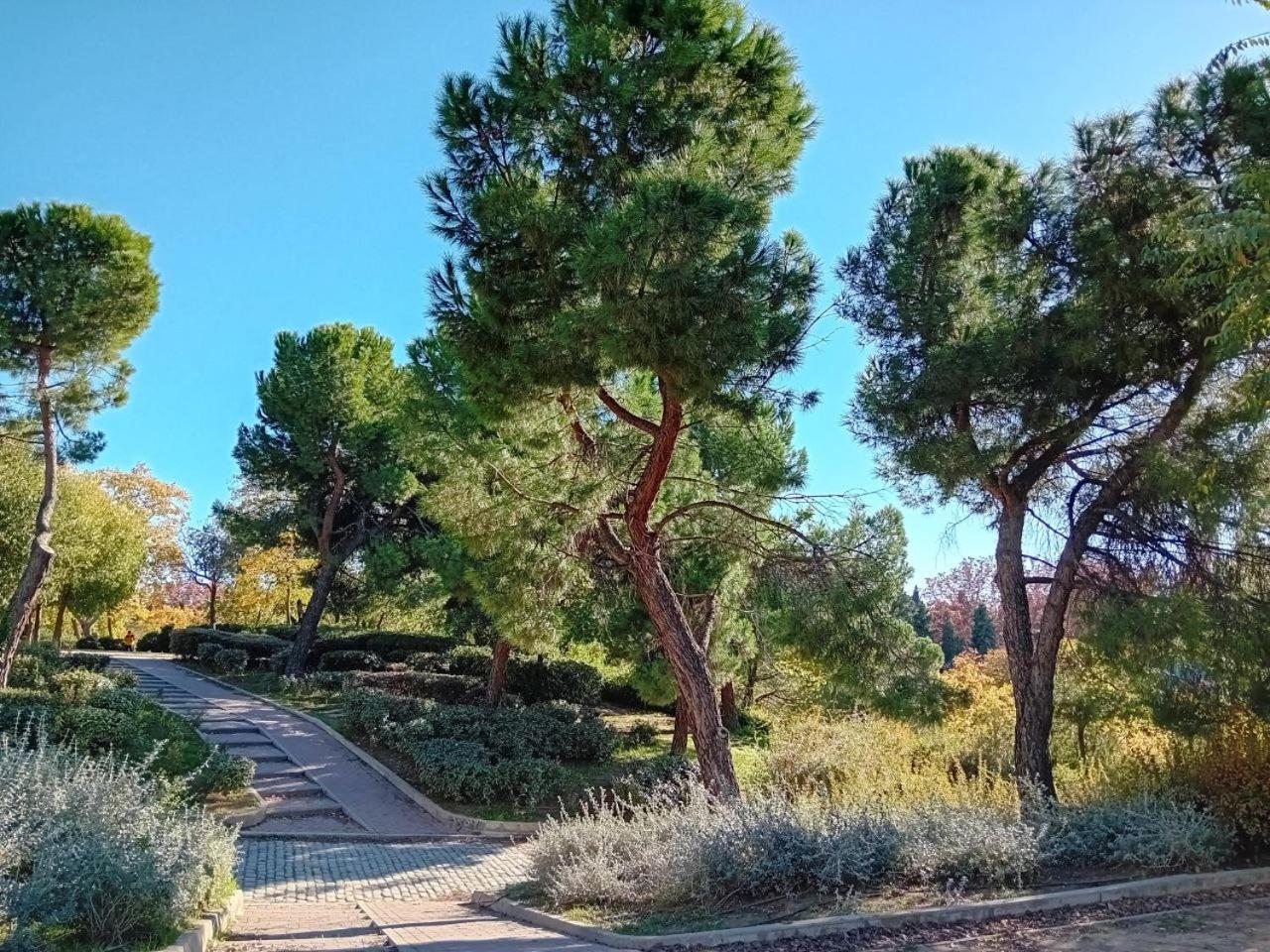 מדריד Smart Suite מראה חיצוני תמונה